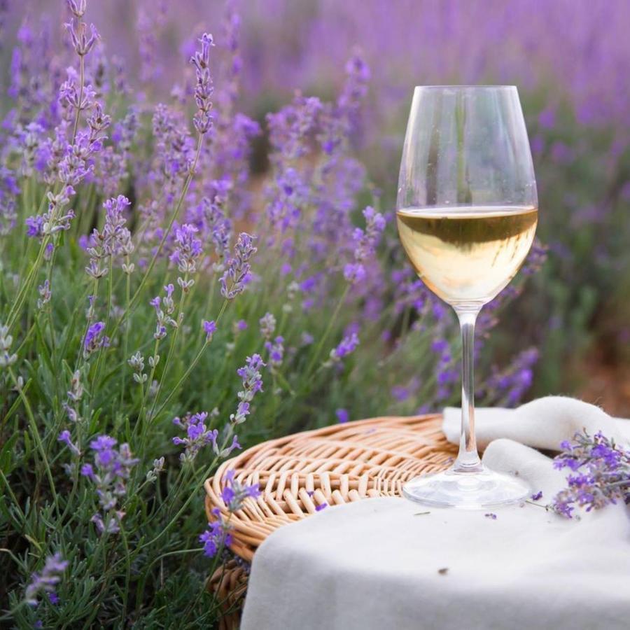 Le Mas Aux Aromes Puget Eksteriør billede